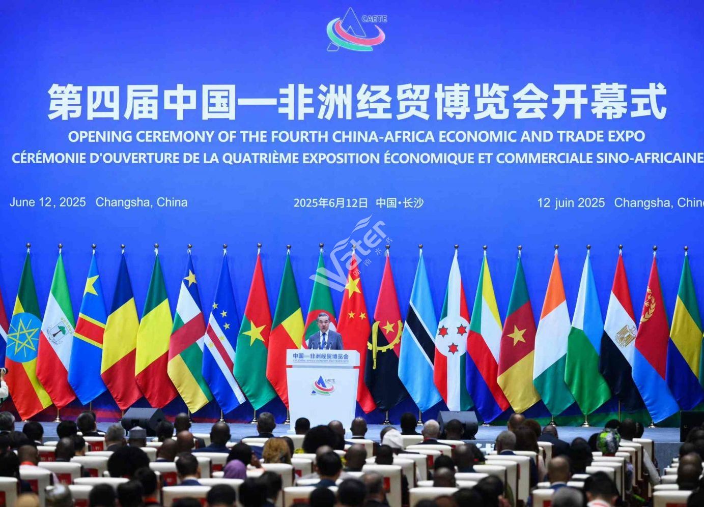 第四屆中國-非洲經貿博覽會在長沙舉行